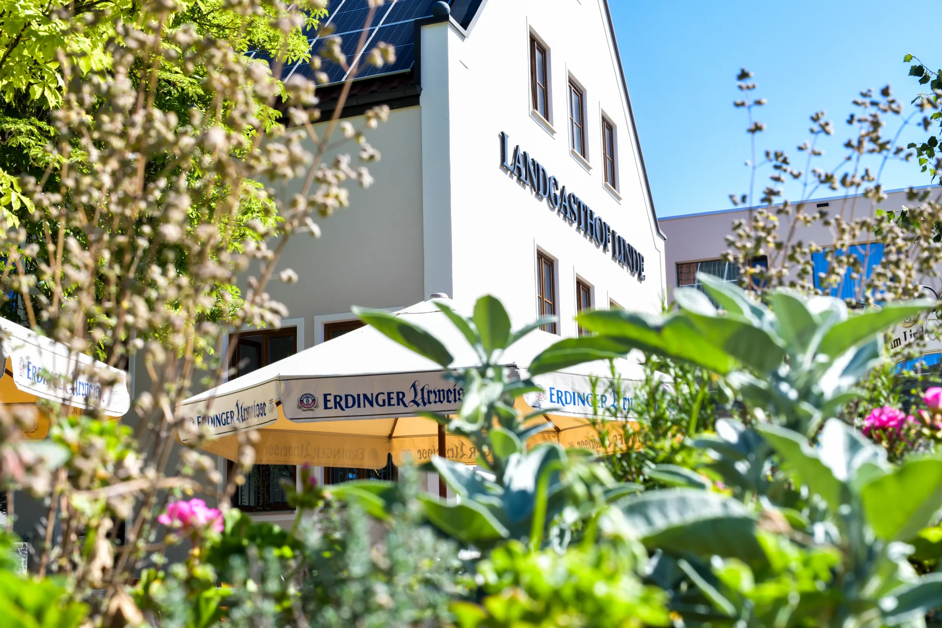 Biergarten der Linde